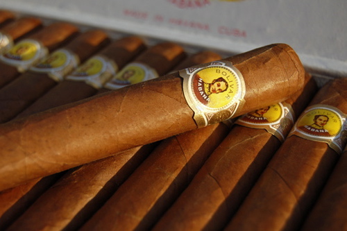 bolivar-royal-corona