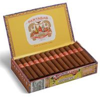 partagas-shorts